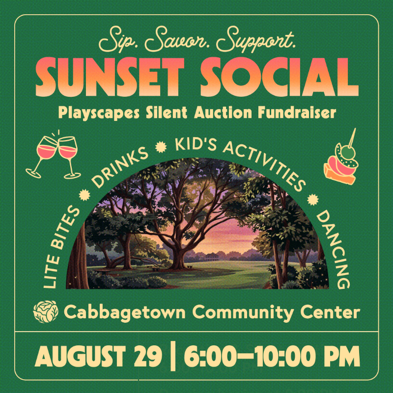 Playscapes Sunset Social Silent Auction