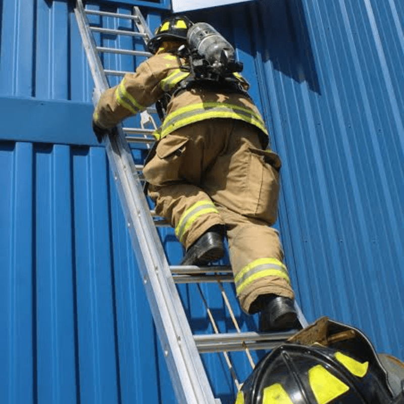 Ladder Climb Exercise