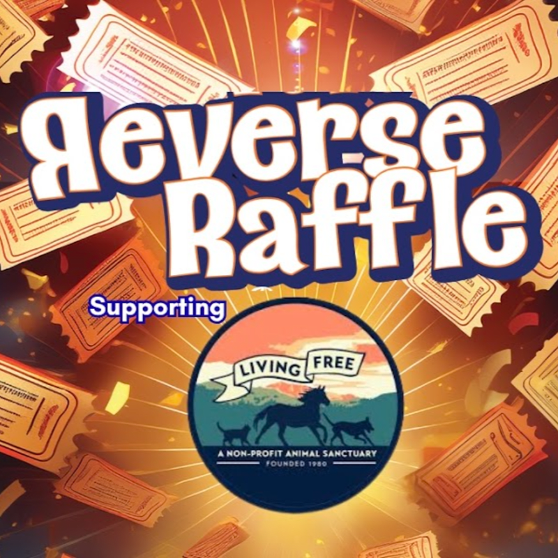 YPN Reverse Raffle