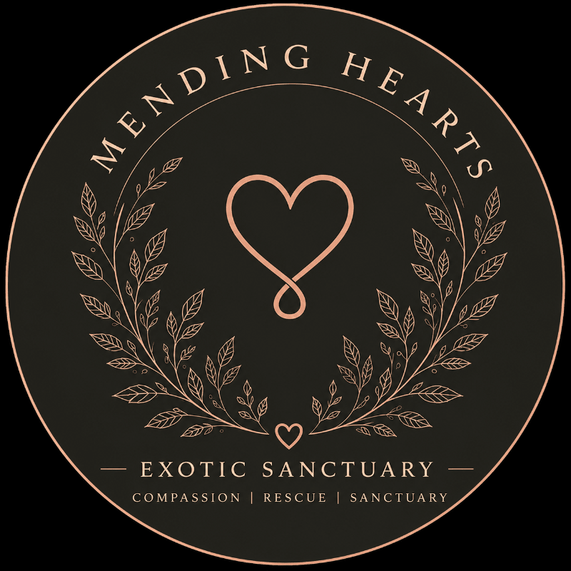 Mending hearts exotic sanctuary's Silent Auction