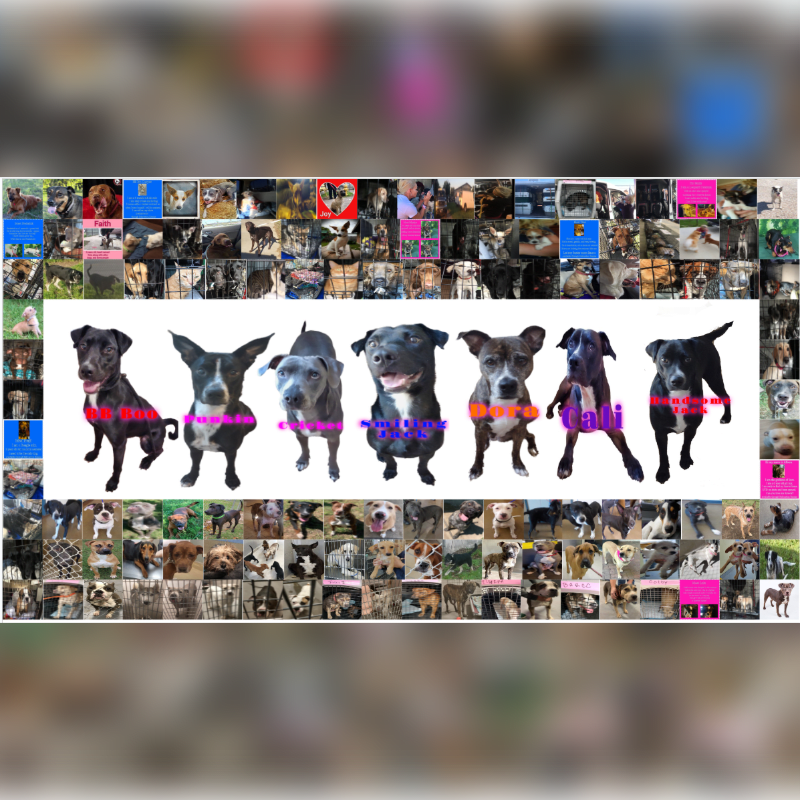 The Journey So Far