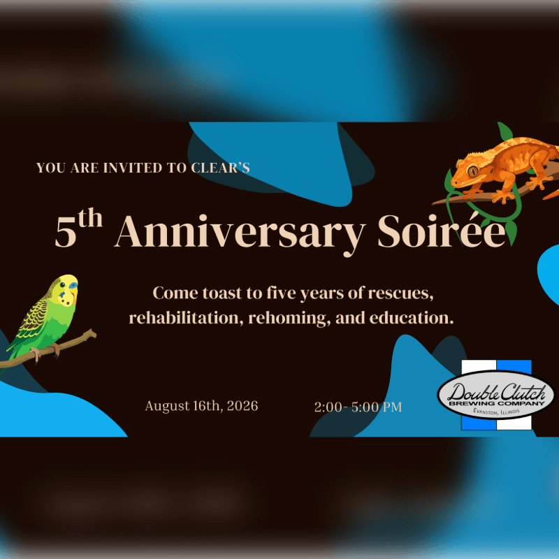 CLEAR's 5th Anniversary Soiree