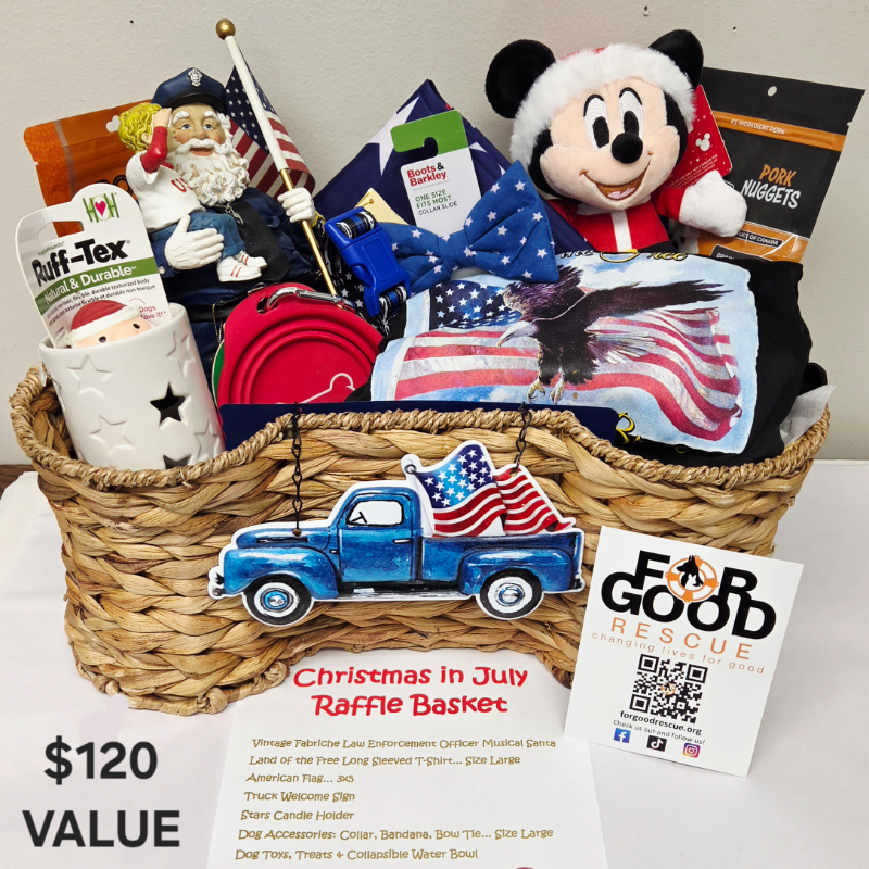 Christmas in July America 250 Raffle