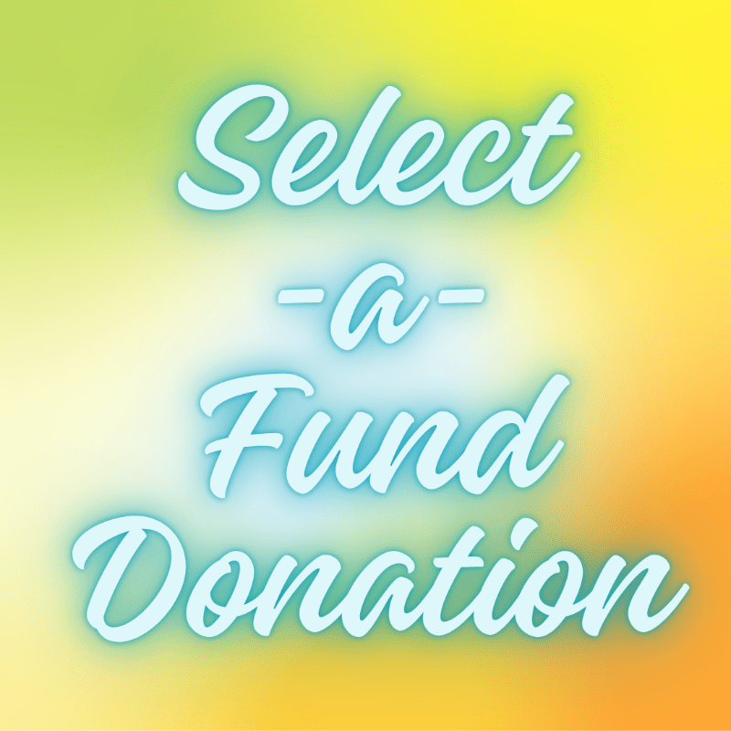 Select-a-Fund Donation