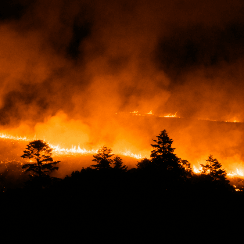 Northern Lights Relief Foundation/ Donate to Emergency Relief Efforts for the Ontario Wildfires