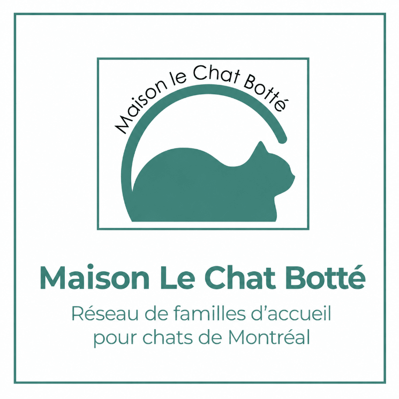Les aimants de Maison le chat botté 🐾 🐾🐾❤️❤️🐾🐾🐾 (en collaboration avec Les CATies)