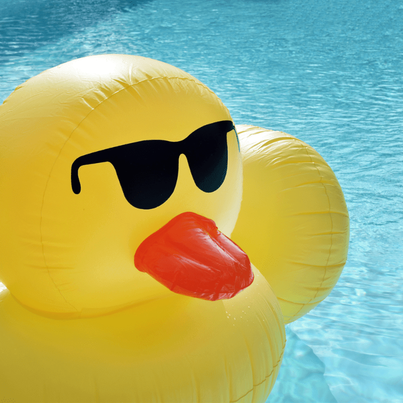 Summer Splash Zone June 2027