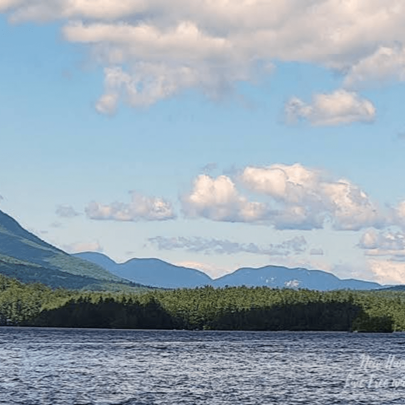 Squam Island Tour