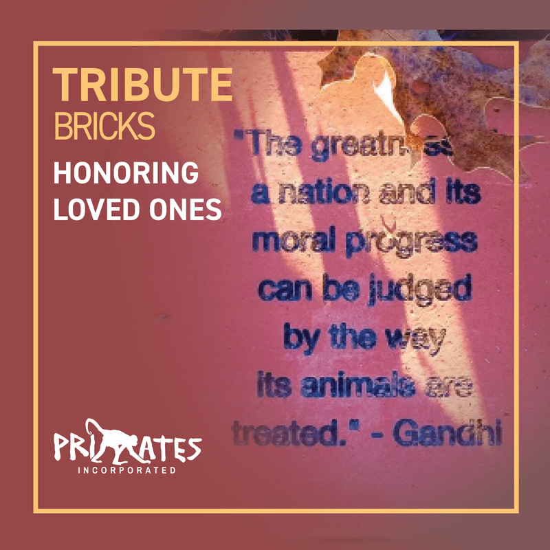 Tribute Bricks / Honoring Loved Ones