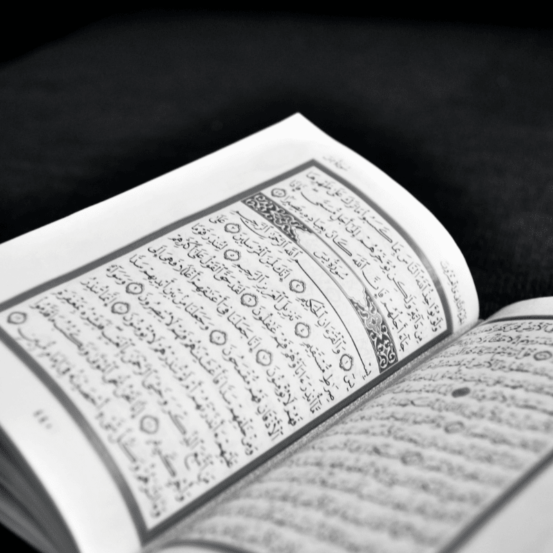 Tajweed: Beautify your Recitation