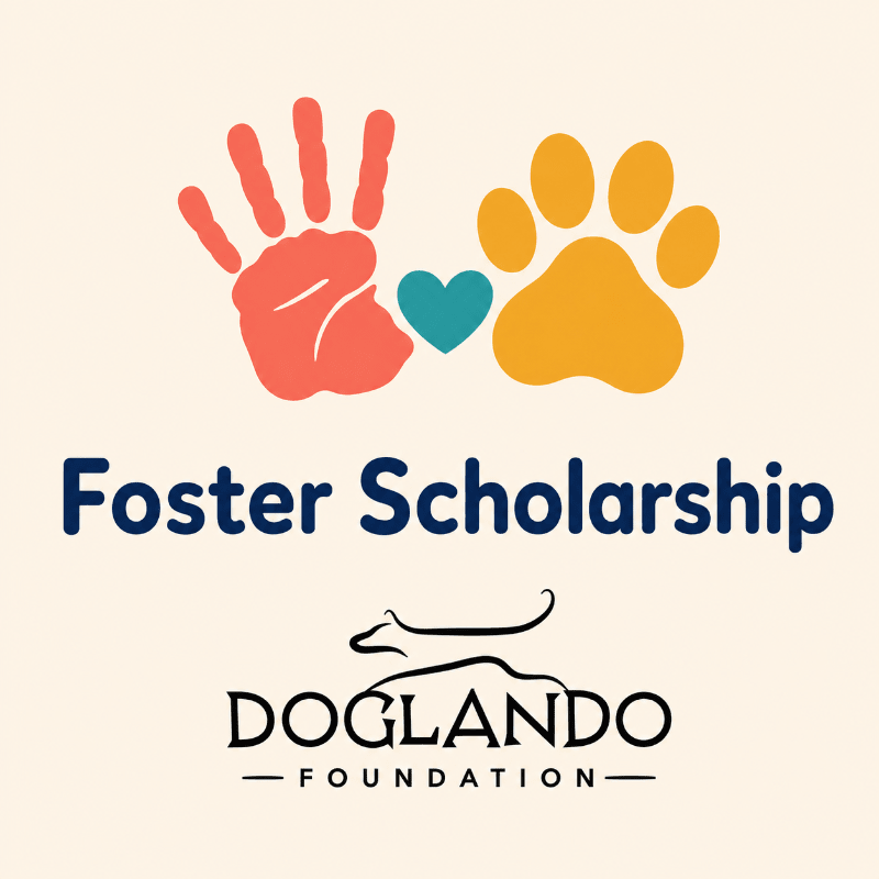 DF Foster Scholarship