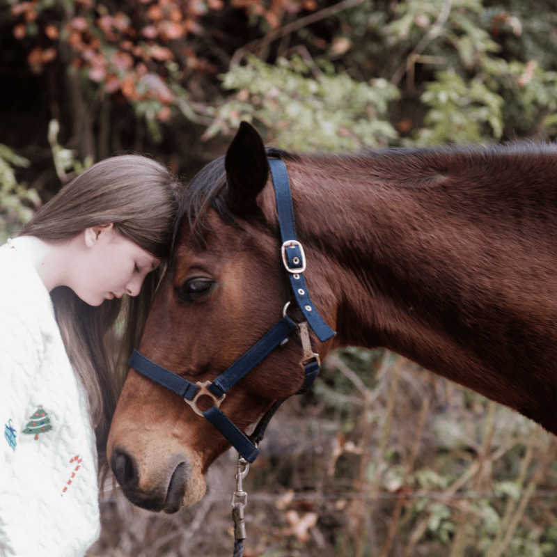 Sunny Brook Stables | Home of Red Heart Horse Fall Break Horse Camp