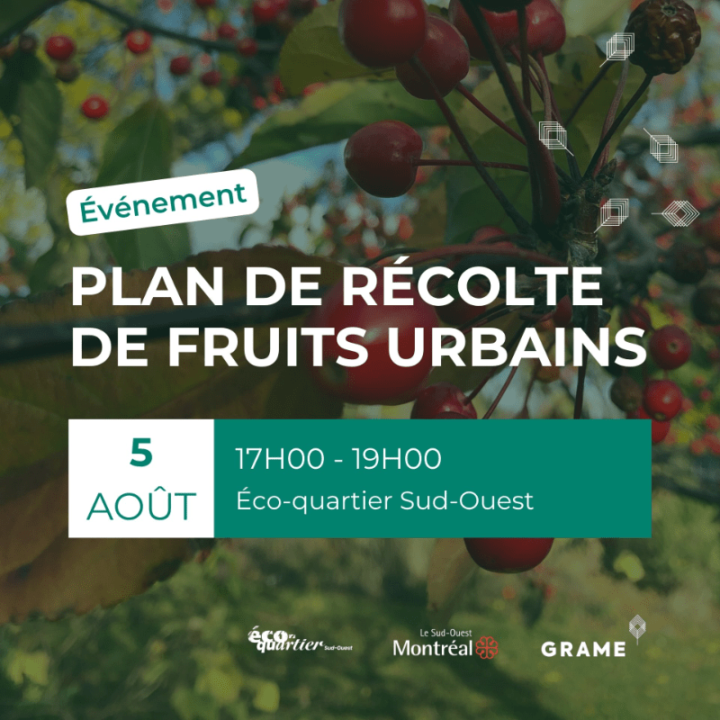 Plan de récolte de fruits urbains - Saint-Paul-Émard