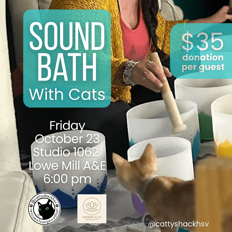 Sound Bath with Cats