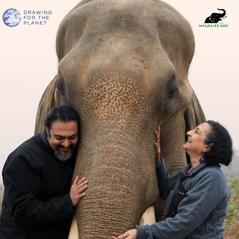 Tour for Tusks: Drawing Hope for Wildlife - Newcastle