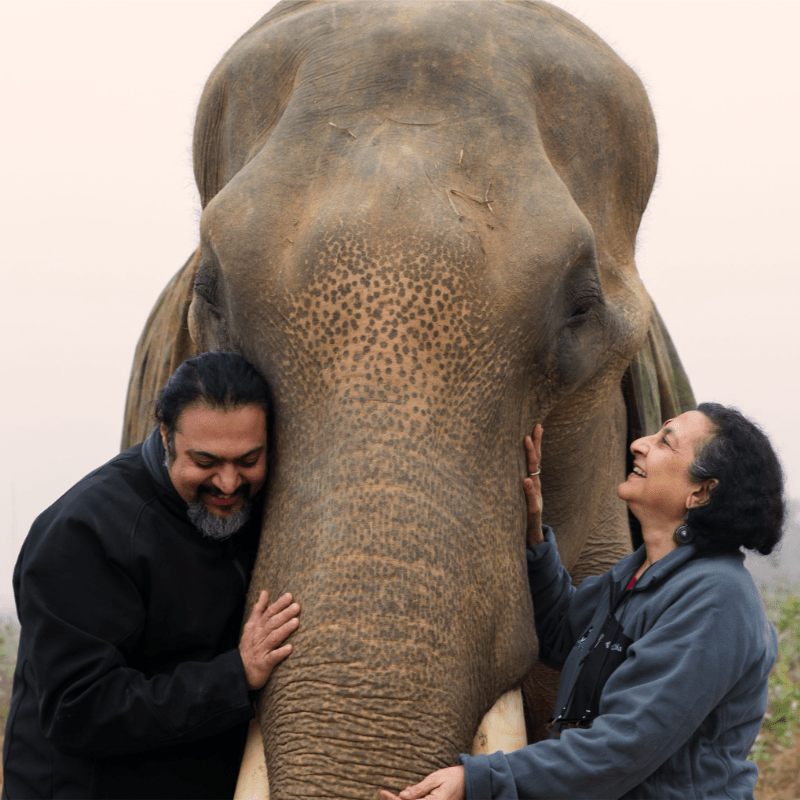 Tour for Tusks comes to Hellingly, East Sussex