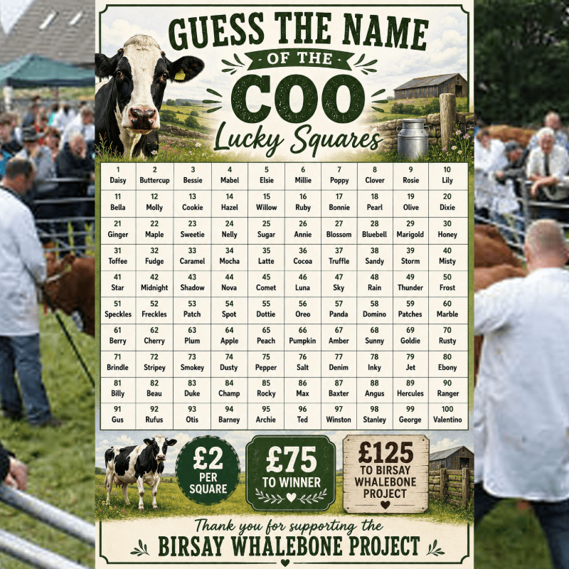 Lucky Squares: GUESS the NAME of the COO!