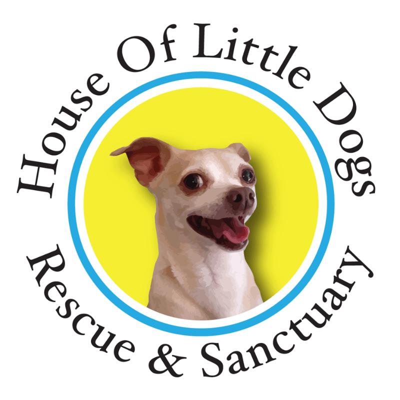 Support the Little Dogs with Your Monthly Donation