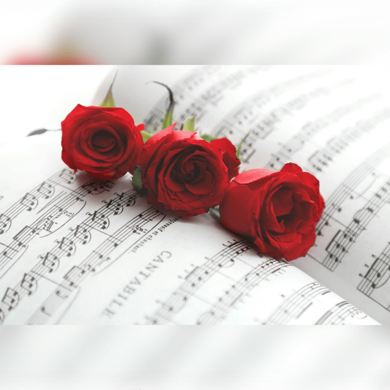Music on Maple: Classical Community Concert
