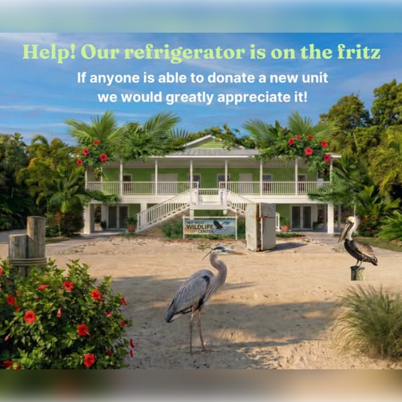 Key West Wildlife Center's new Fridge