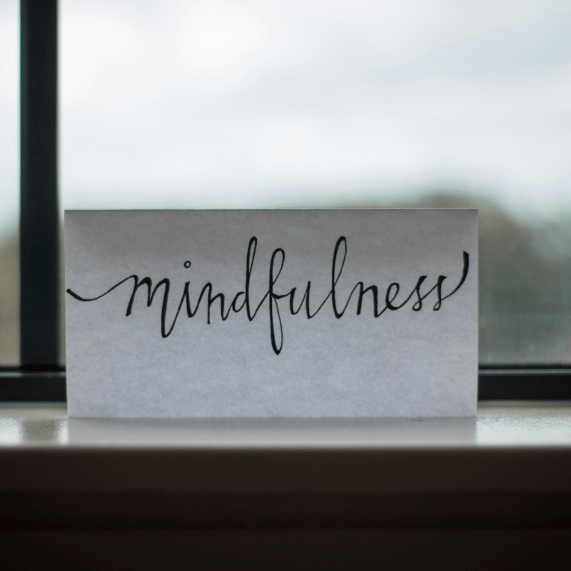 Get Rooted in Meditation & Mindfulness