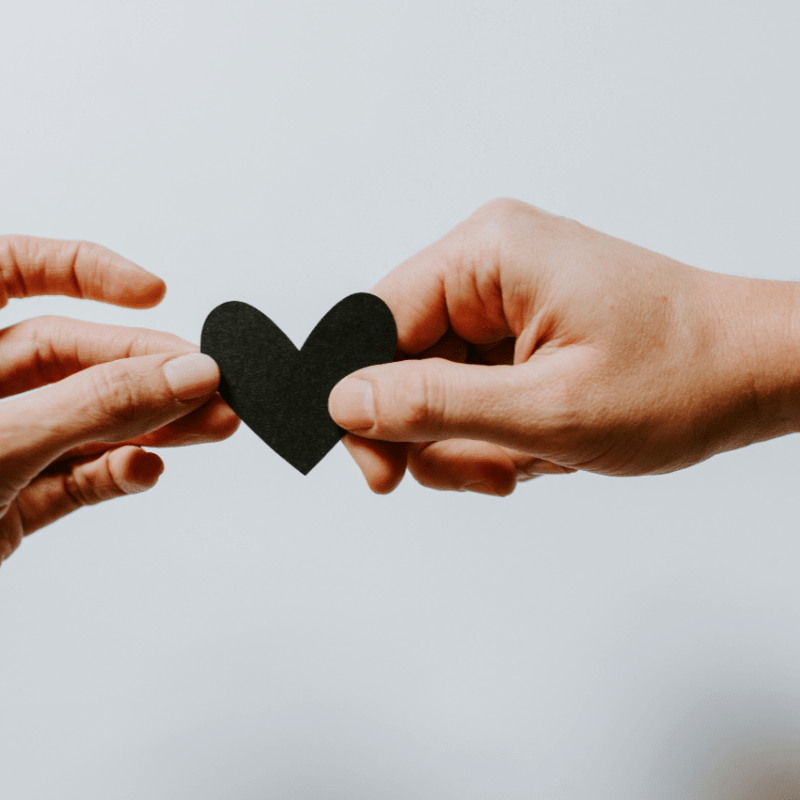 Donate to the Markhaven Foundation