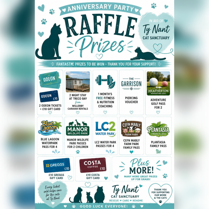 Ty Nant's 10 year Anniversarry super raffle