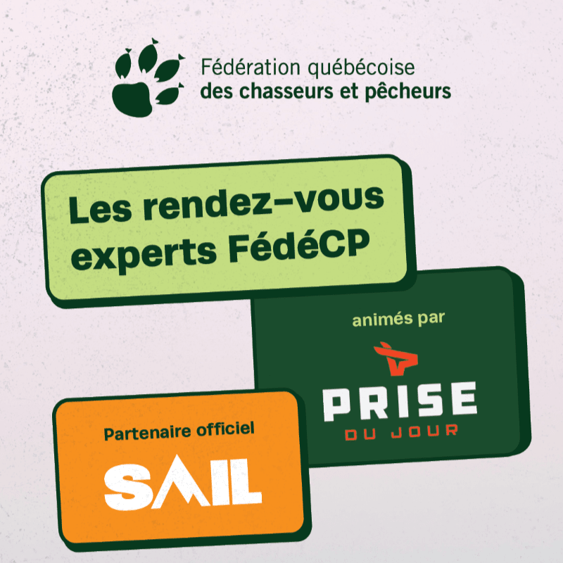 Les rendez-vous experts FédéCP - Programmation complète de webinaires