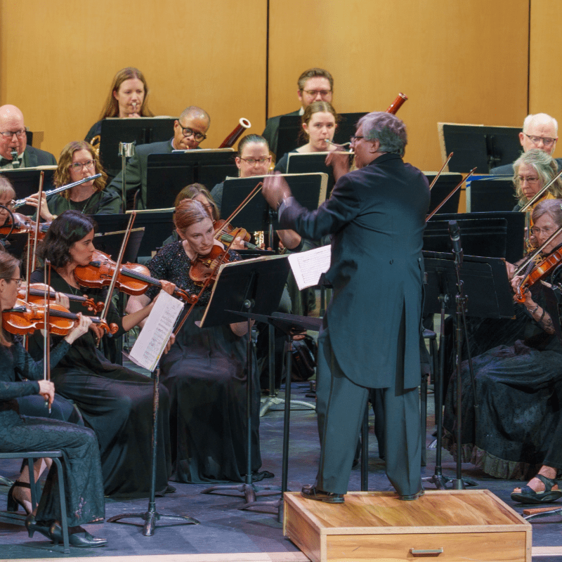 DONATE to the Meridian Symphony Orchestra