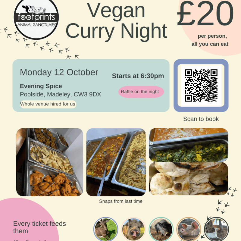 Curry Night - All-You-Can-Eat!