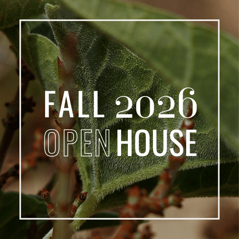Fall 2026 Open House