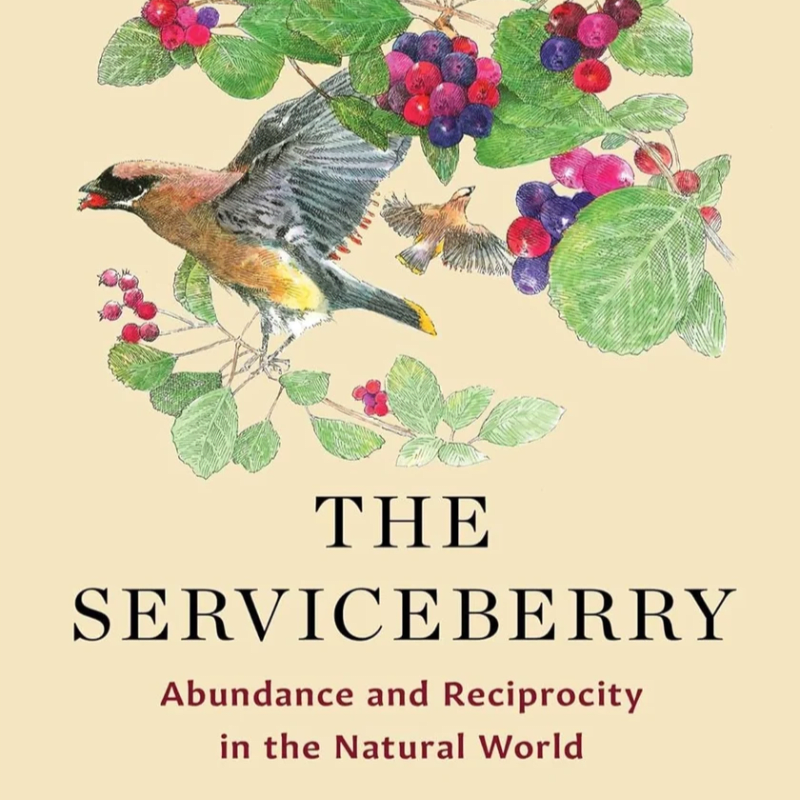 Indigenous Palliative and End of Life Program Book Club - THE SERVICEBERRY