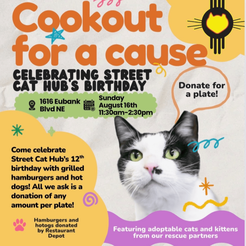 Cookout with a Cause: Celebrating 12 Years of Street Cat Hub