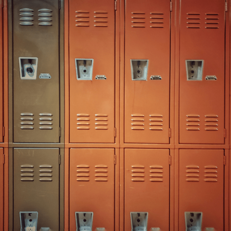 Locker Ladder Pre-Sale