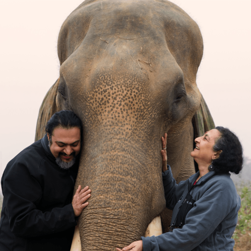 Tour for Tusks comes to Beckenham