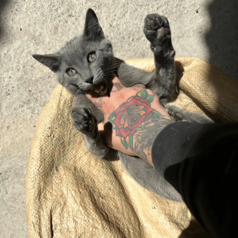 Tattoo Fundraiser T-shirts