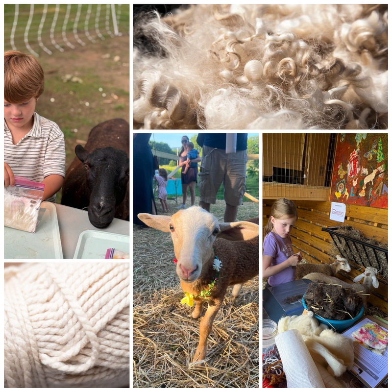 Fall Fiber Art at the Ranch