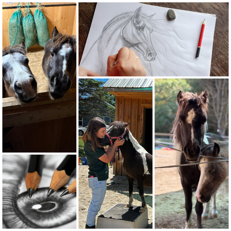 Horse Portrait Art at the Ranch