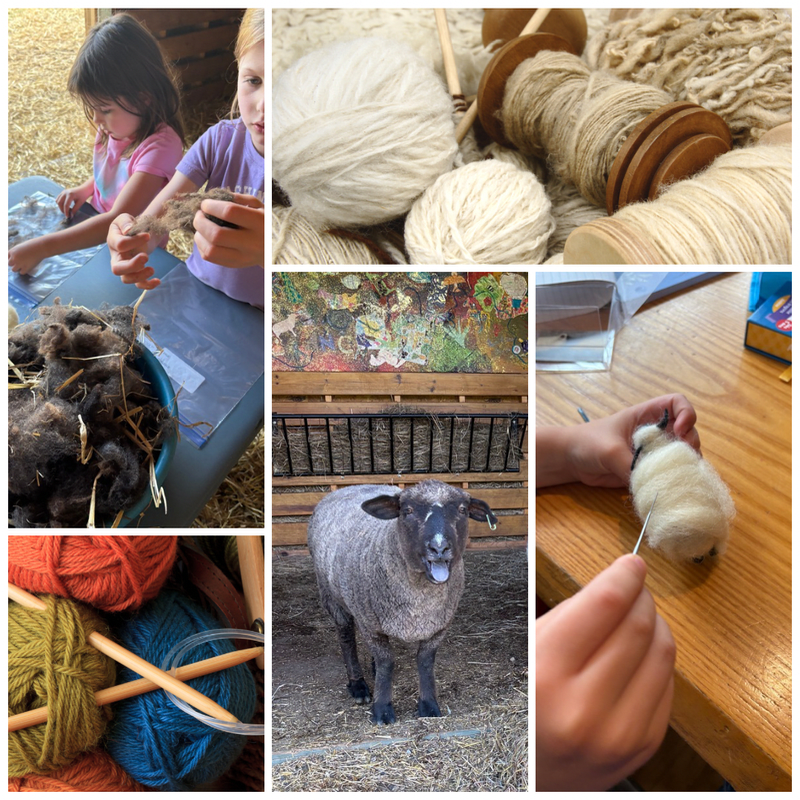 Fall Fiber Art at the Ranch