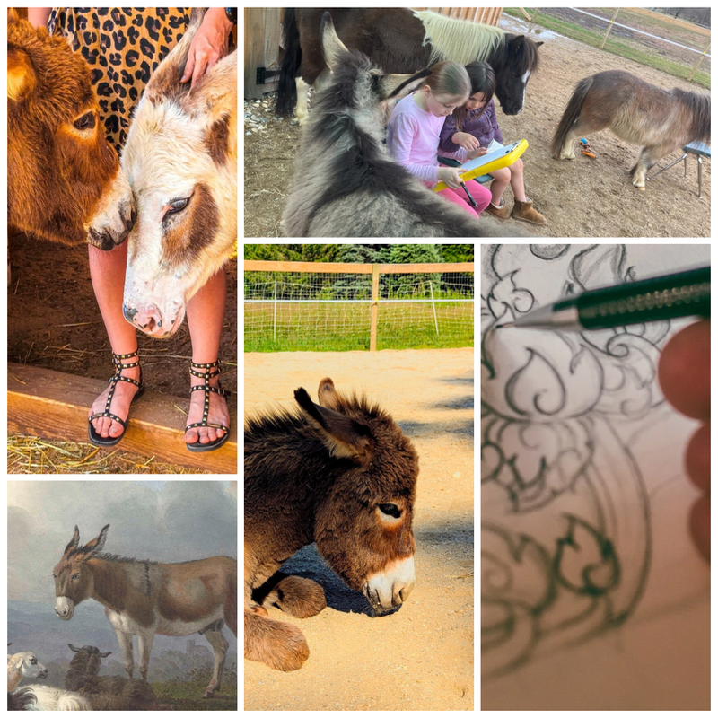 Donkey & Art at the Ranch