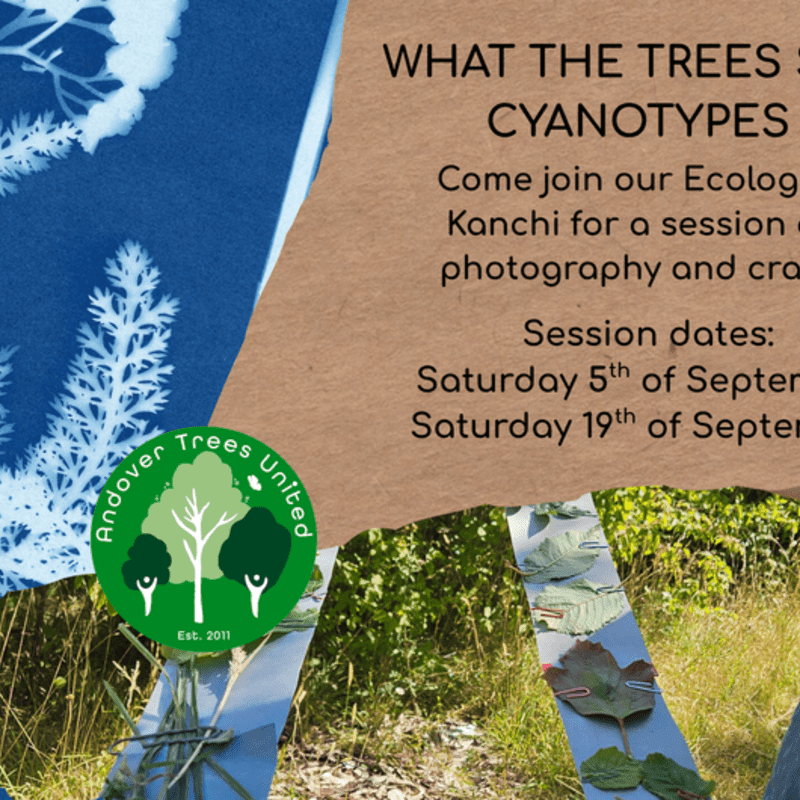 Explore The Wild - What the Trees See Session 3 - Cyanotypes (Light Photography)