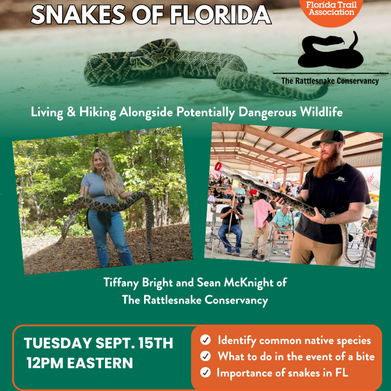 Snakes of Florida: Living & Hiking Alongside Potentially Dangerous Wildlife