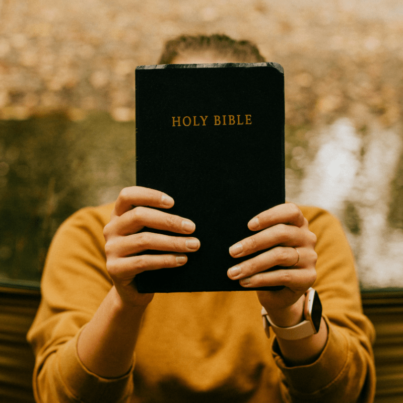 Women's Bible Study - The Book of Romans