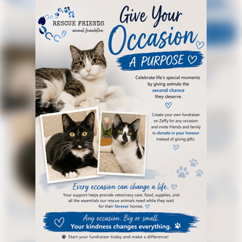 🐾 Celebrate Your Occasion by Giving an Animal a Second Chance