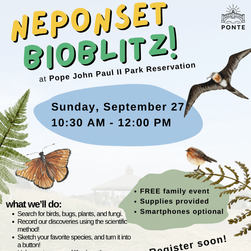 Neponset BioBlitz!