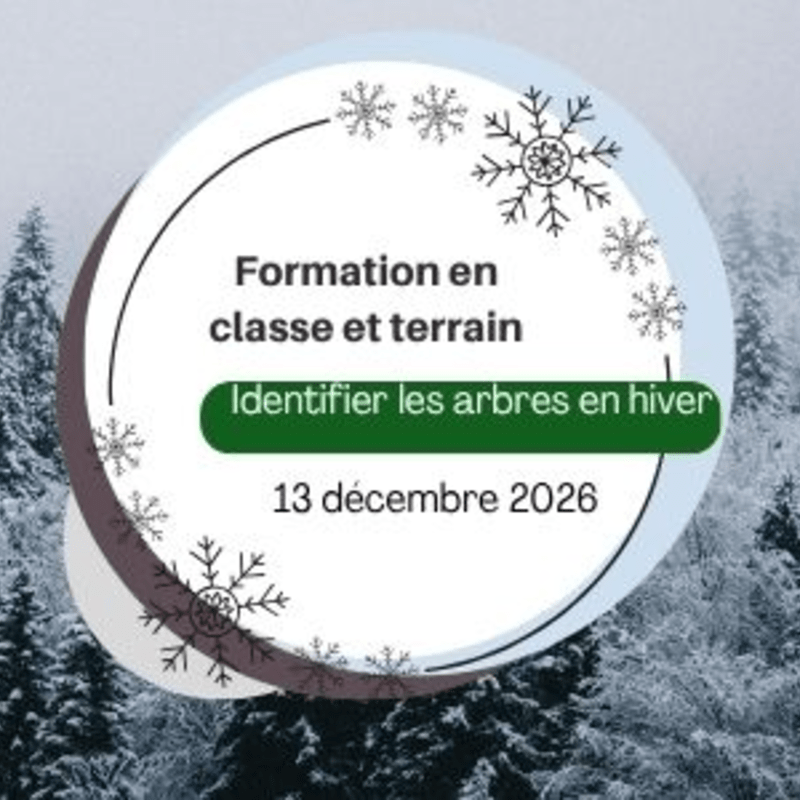 Formation - Identifier les arbres en hiver - Décembre 2026