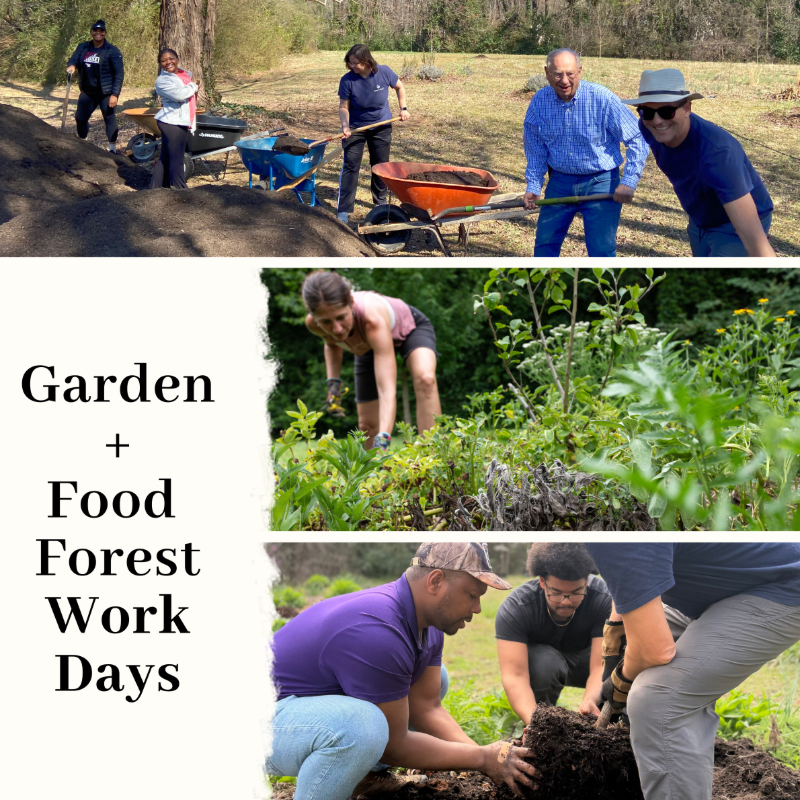 Garden + Food Forest Workdays