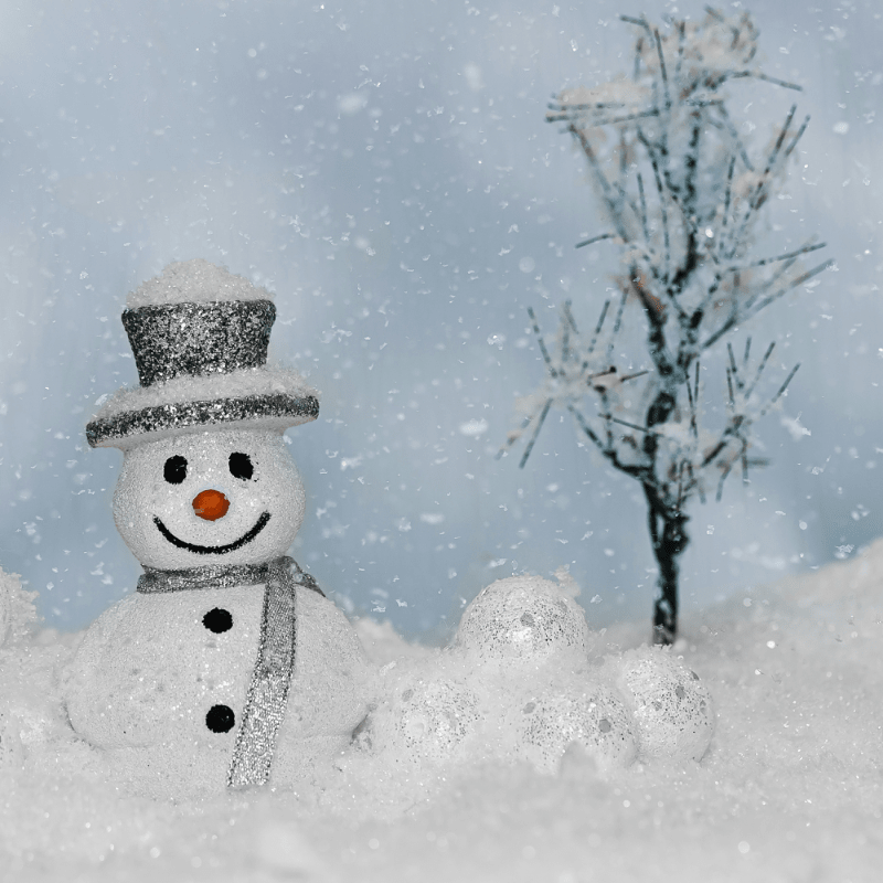 Winter Wonderland