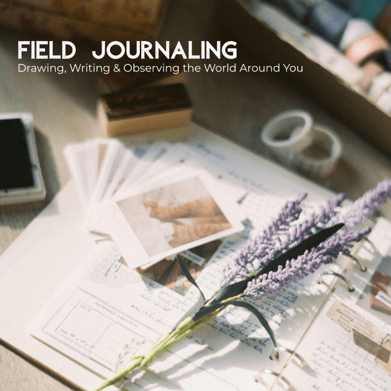 UCCAC - Field Journaling: Drawing, Writing & Observing the World Around You