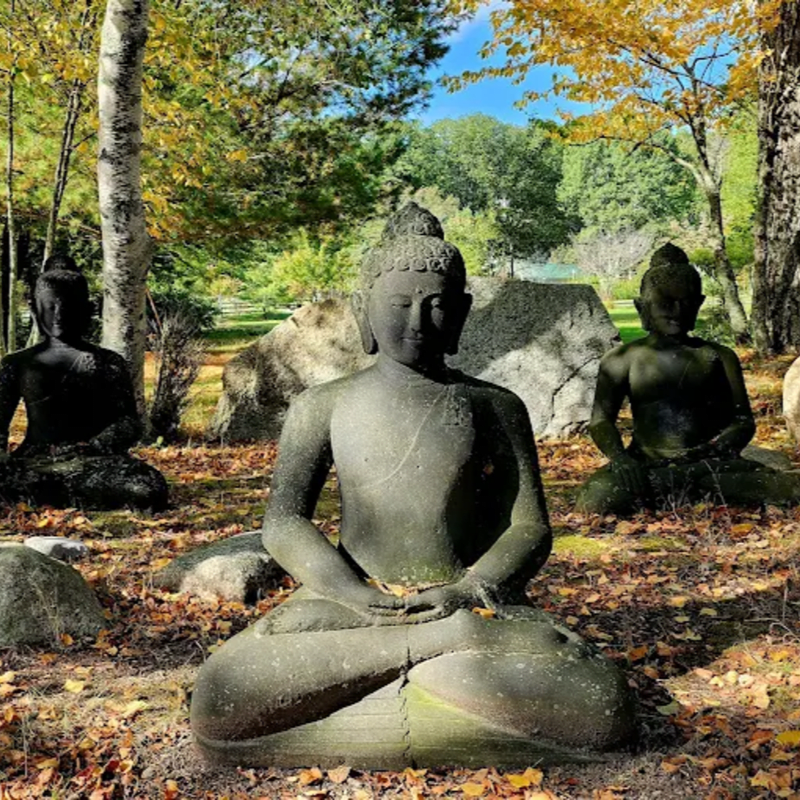 Peaceful Action, Open Heart Retreat